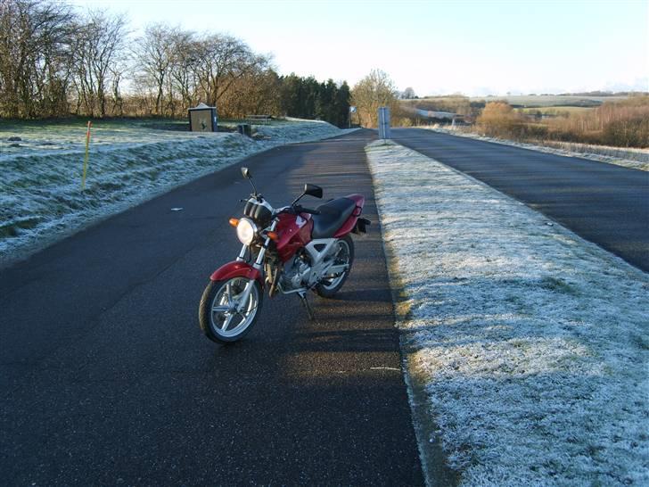 Honda CBF 250 2004 "Solgt" billede 3