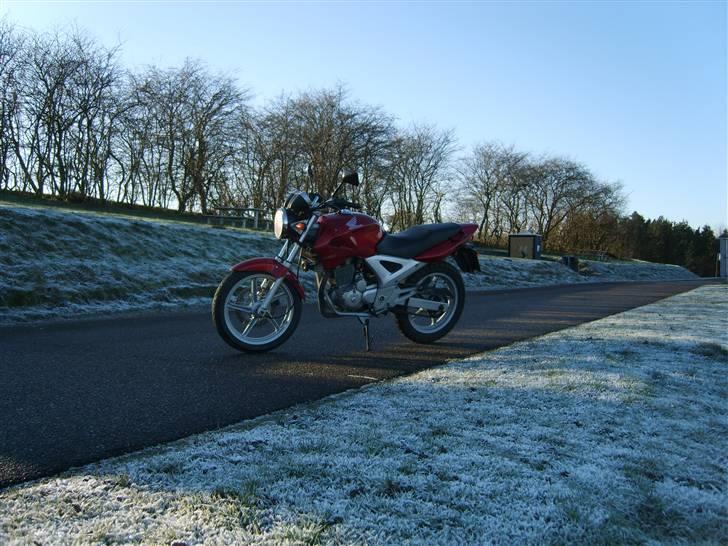 Honda CBF 250 2004 "Solgt" billede 4