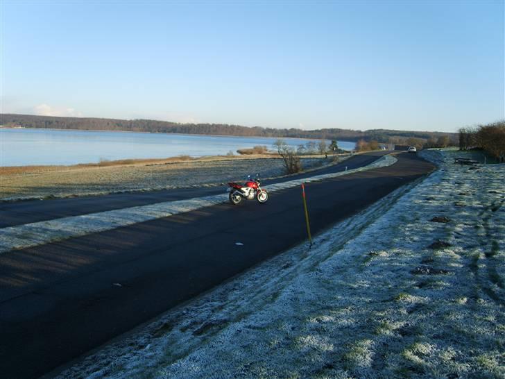 Honda CBF 250 2004 "Solgt" billede 6