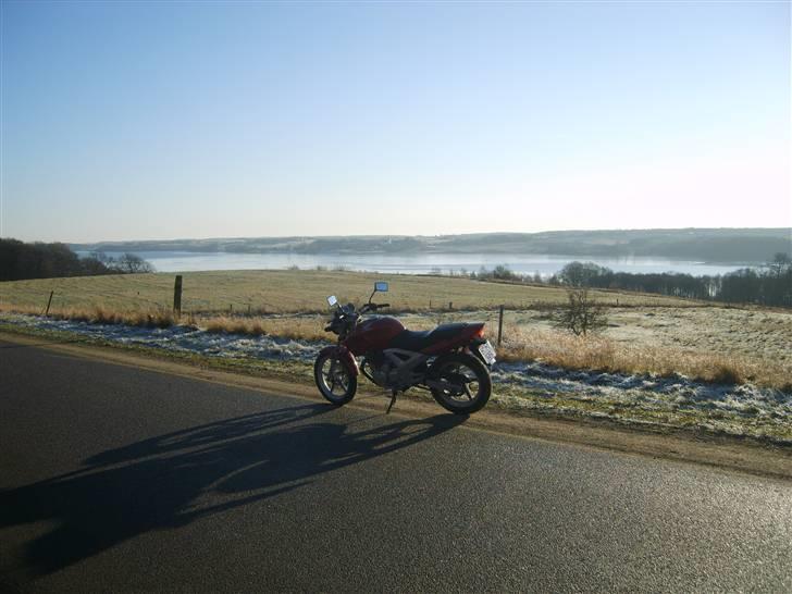 Honda CBF 250 2004 "Solgt" billede 7