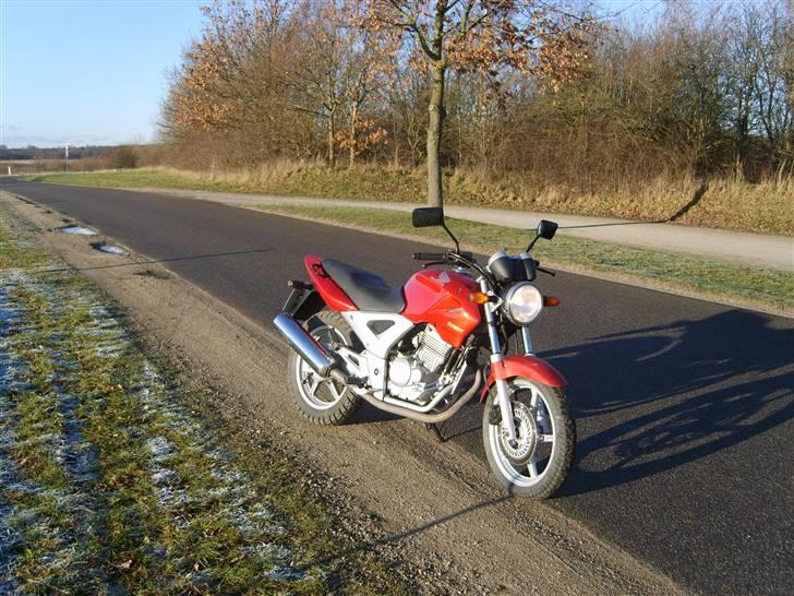 Honda CBF 250 2004 "Solgt" billede 8