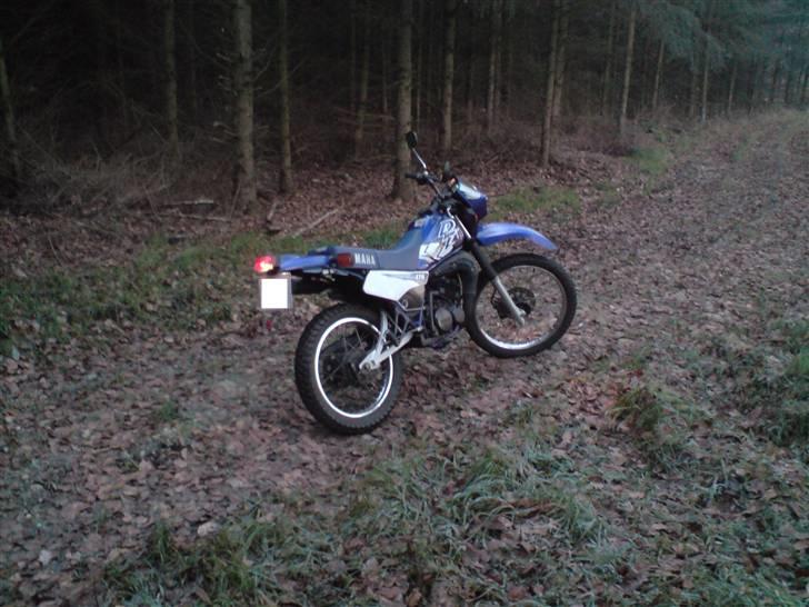 Yamaha DT 175 (solgt) billede 10
