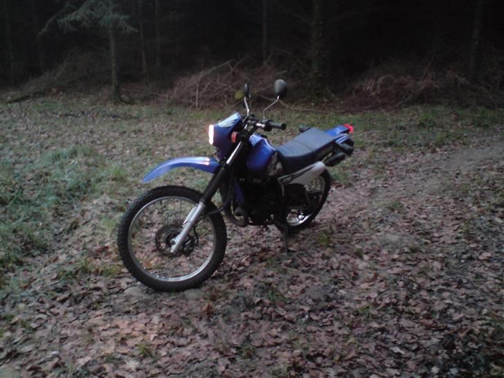 Yamaha DT 175 (solgt) billede 11