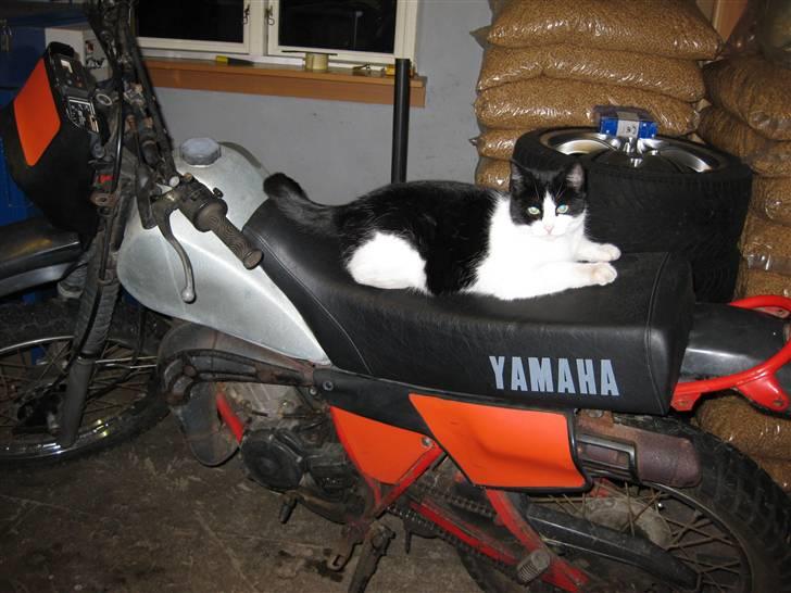 Yamaha DT 125 "SOLGT" billede 5