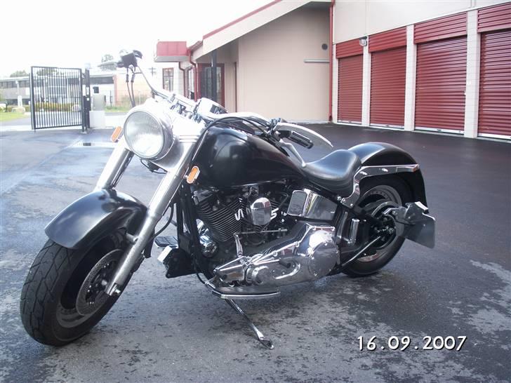 Harley Davidson fxstc billede 2