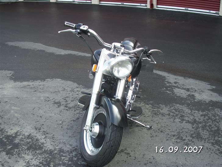Harley Davidson fxstc billede 3