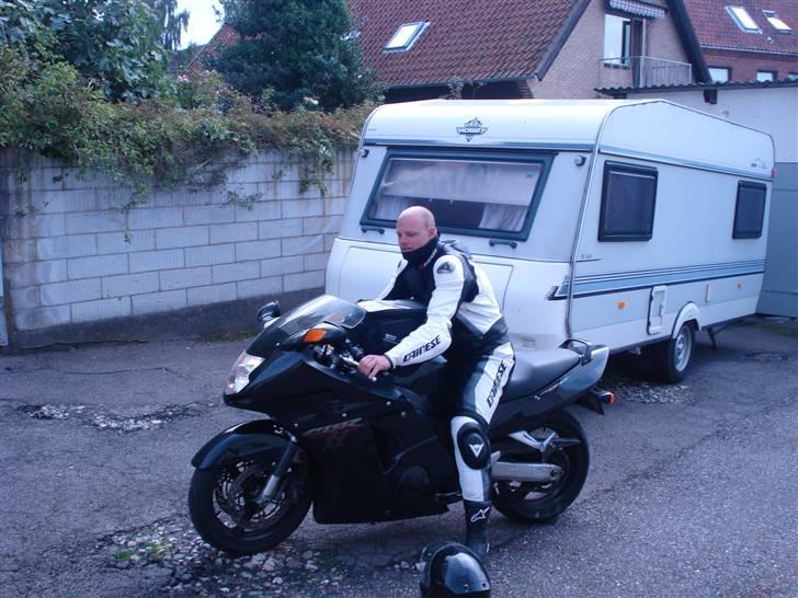 Honda CBR 1100 XX BlackBird billede 7