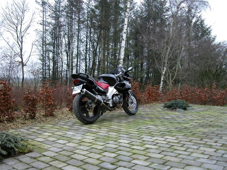 Yamaha SZR 660  billede 11