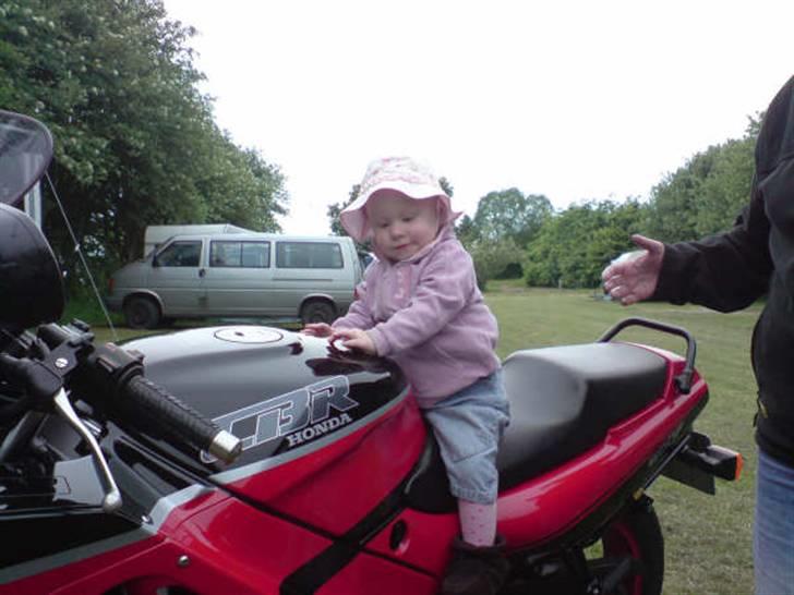 Honda CBR 600 F  - Born to Ride ;-) billede 4