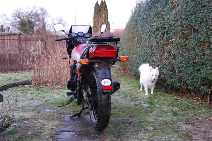 Yamaha XJ.600 (Solgt) billede 8