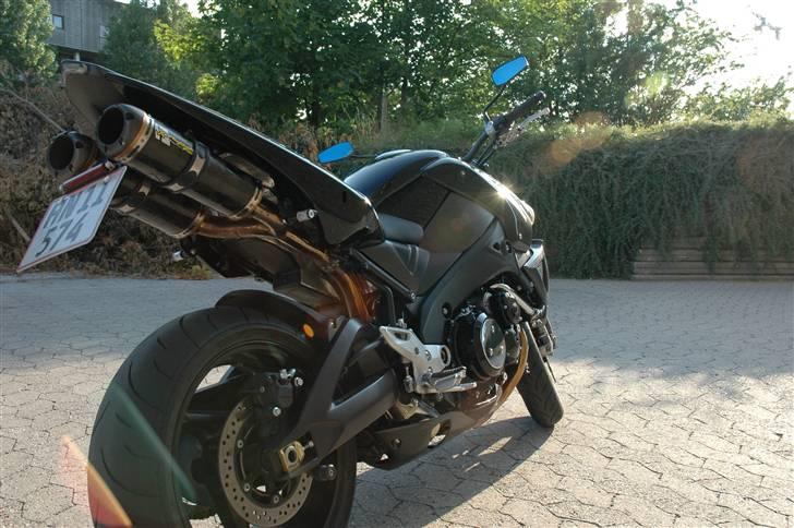 Suzuki B_King billede 1