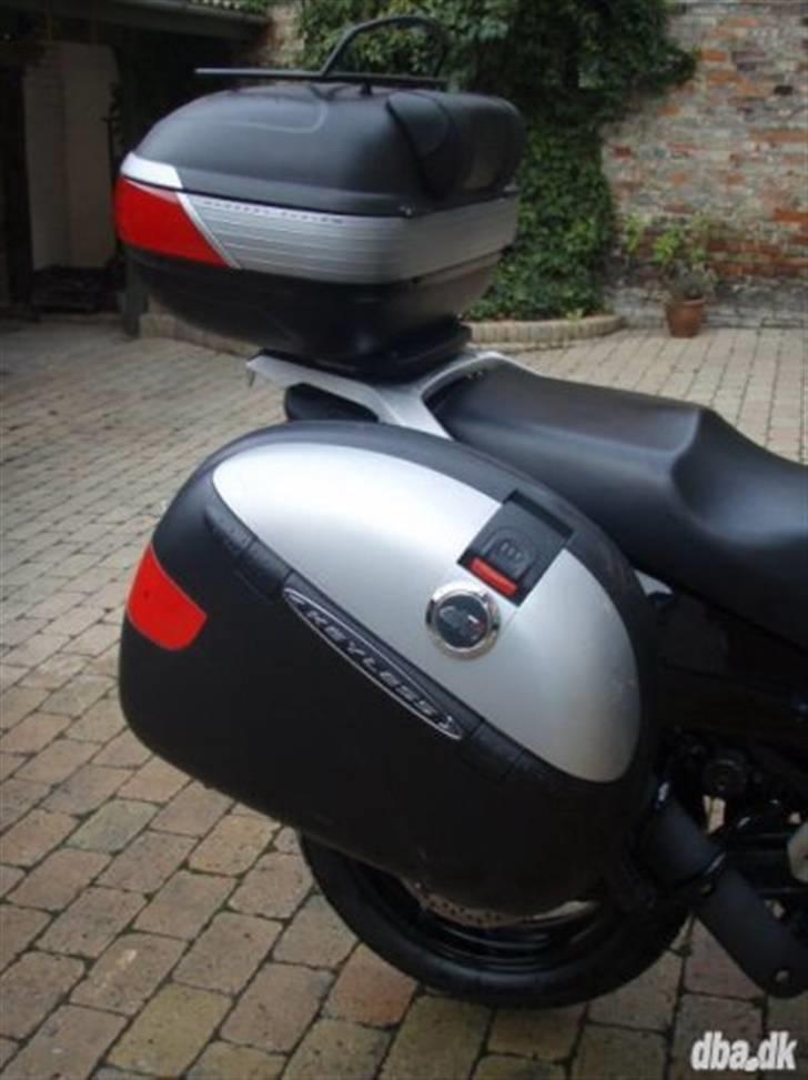 Suzuki Dl 650 - Kanon lækre Givi-tasker billede 2