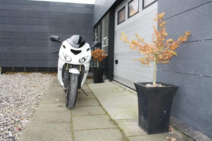 Kawasaki ZX10R Pearl White *SOLGT* - Frontshot!! billede 10