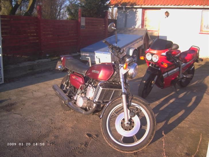 Suzuki GT 750 vandbøffel billede 14