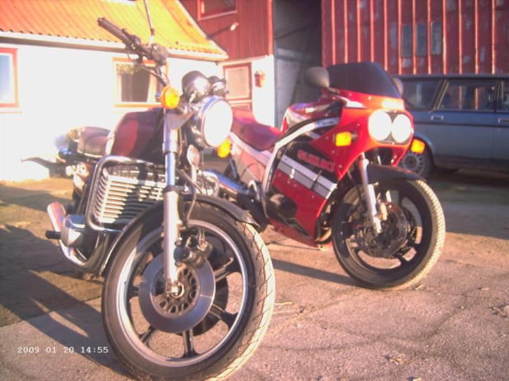 Suzuki GT 750 vandbøffel billede 15