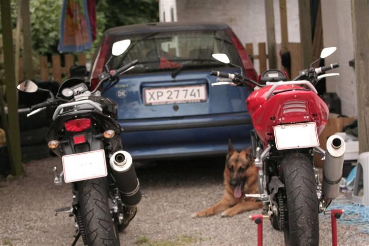 Hyosung GT650 - Org. Røv VS Modded Røv billede 8