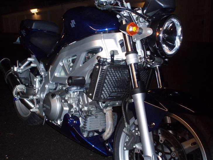 Suzuki Sv 1000 - Så kom der "gitter" på kølerne billede 6