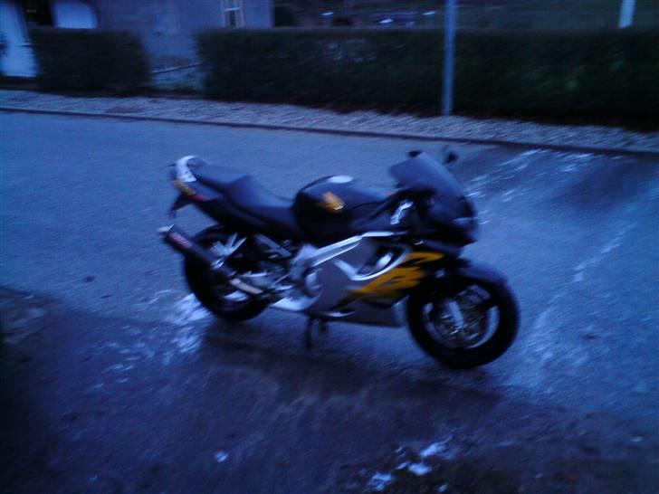 Honda Cbr 600 f4 billede 8