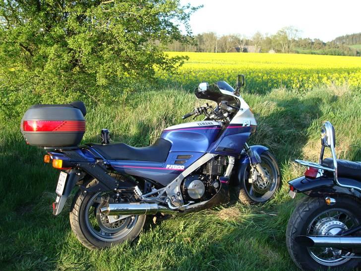 Yamaha FJ 1200 - FJeren til Elgetræf 2008 billede 3