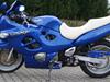 Suzuki gsx600f     