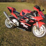 Honda fireblade 954RR