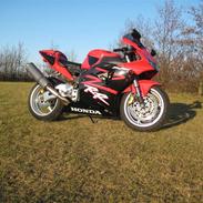 Honda fireblade 954RR