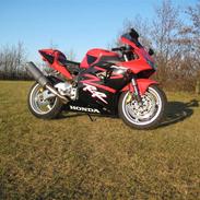 Honda fireblade    954RR