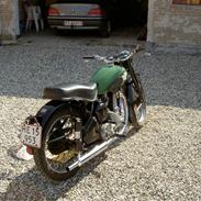 BSA B31