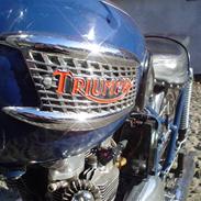 Triumph Tiger 100
