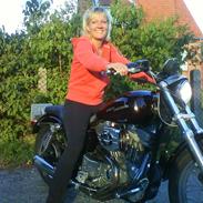 Harley Davidson Sportster 883