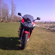 Suzuki GSXR 1100