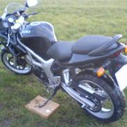 Suzuki SV650s