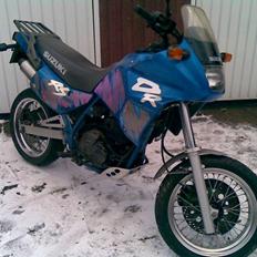 Suzuki DR 650 RSE