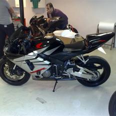 Honda cbr 600rr