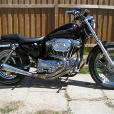 Harley Davidson Sportster 883