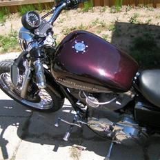 Harley Davidson Sportster 883