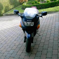 Kawasaki ZZR 600 (solgt)