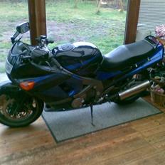 Kawasaki ZZR 600