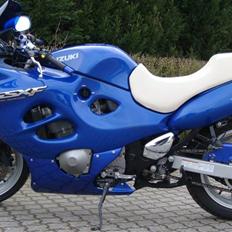 Suzuki gsx600f     