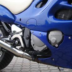 Suzuki gsx600f     