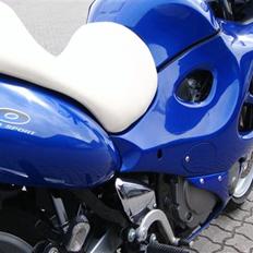 Suzuki gsx600f     