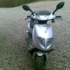 PGO t-rex solgt