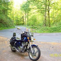 Regal Raptor 250E ( Solgt marts 09 )