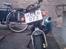 Shineray pit-bike