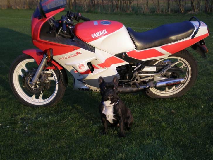 Yamaha RD 350R LC X SOLGT X billede 7