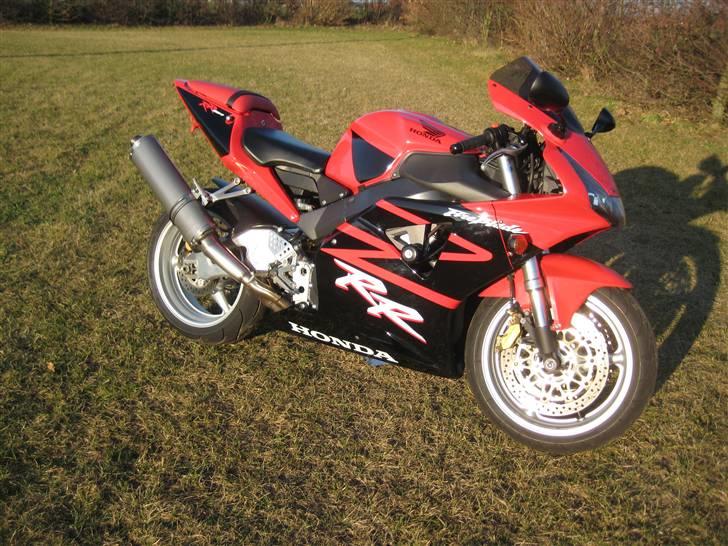 Honda fireblade    954RR billede 1