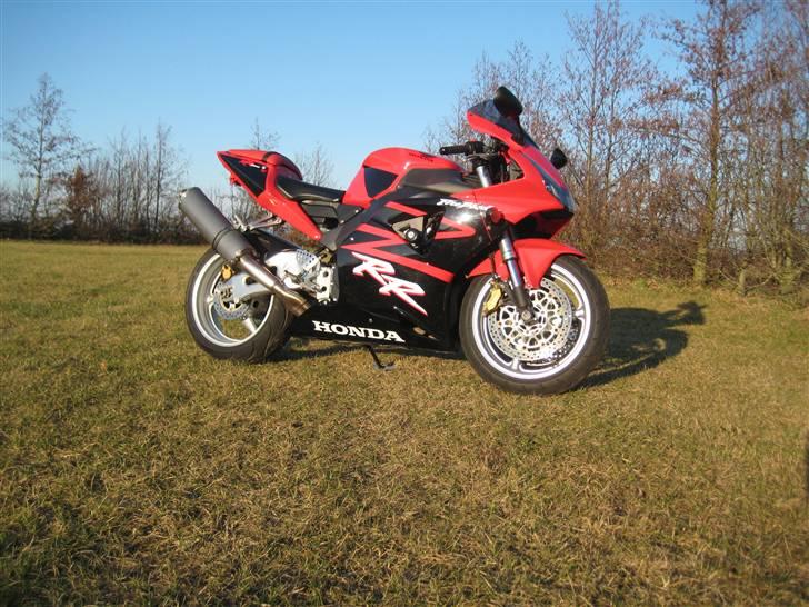 Honda fireblade    954RR billede 2