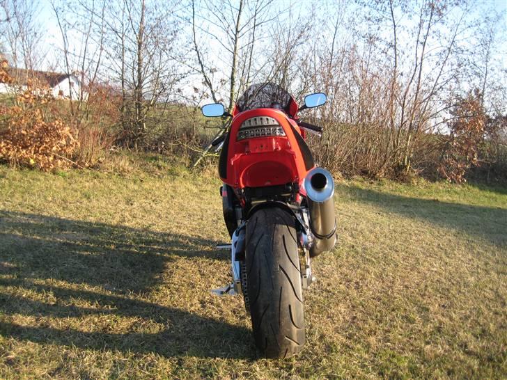 Honda fireblade    954RR billede 5