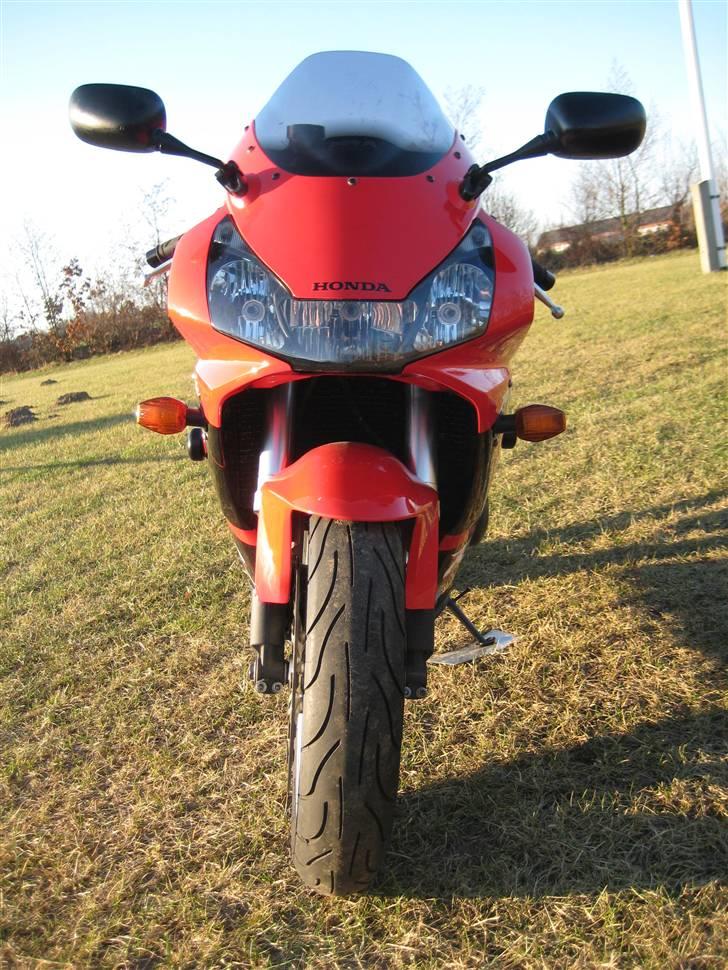 Honda fireblade    954RR billede 6