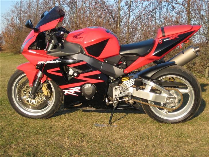 Honda fireblade    954RR billede 12